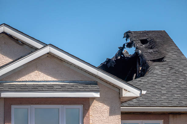 Top rated local Fire Damage Removal specialists in Juliustown, NJ